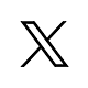 x logo