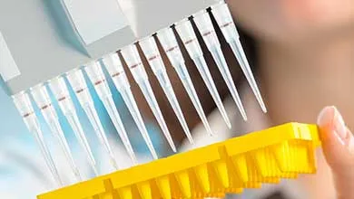 A hand holds a yellow microplate while a multi-channel pipette with clear tips hovers above it in a laboratory.